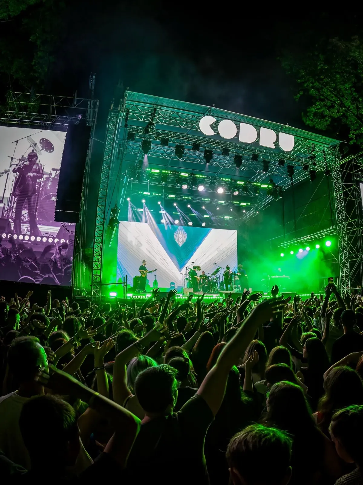 CODRU, festivalul care plantează, aduce la Ziua Timișoarei experiențe pentru copii, muzică și activități care cultivă grija pentru natură