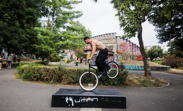 Shred the Spot