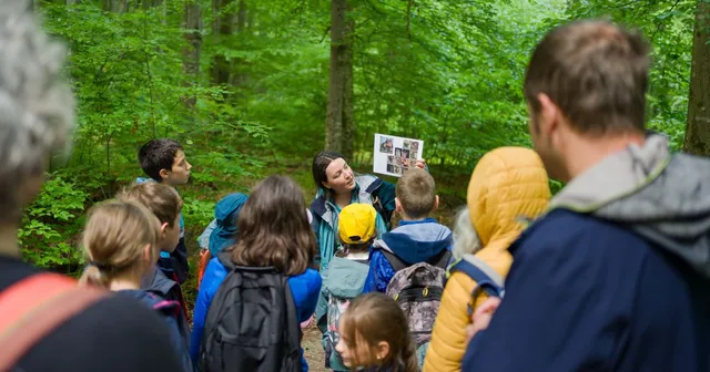 Tur la amurg cu și despre lilieci (Bat Walk)
